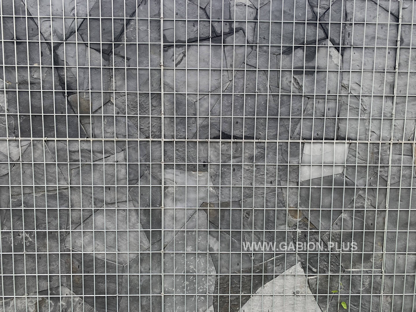 IMG 6840